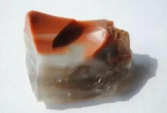 香港美心月餅多少錢(qián)