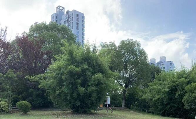 任志強(qiáng)談青島房?jī)r(jià)走勢(shì)