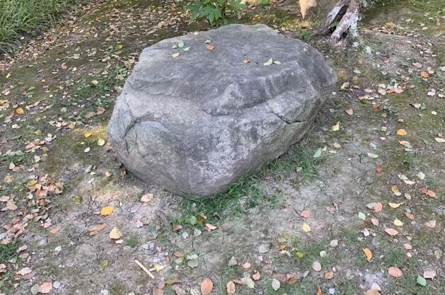 任志強(qiáng)談青島房?jī)r(jià)走勢(shì)