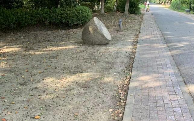 低學(xué)歷的女人也能賺大錢