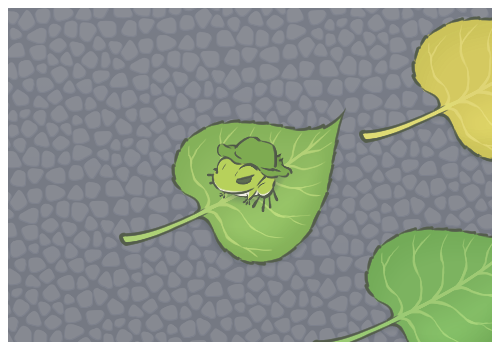 三角梅的養(yǎng)殖方法和注意事項(xiàng)