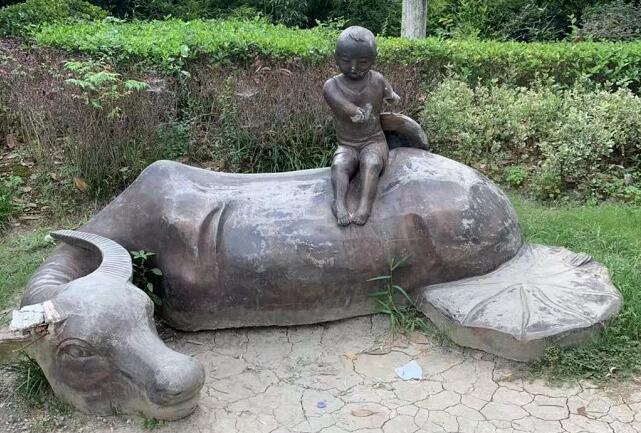 牛大力的功效與作用