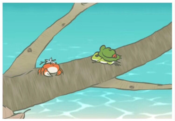 滿天星花語和寓意