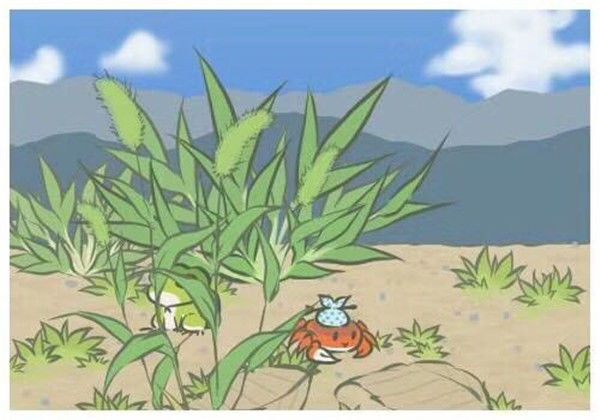 賽樂(lè)賽減肥藥有效果嗎