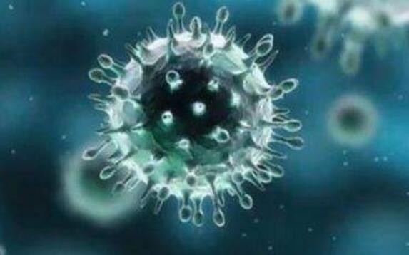 新型冠狀病毒潛伏期多長(zhǎng)