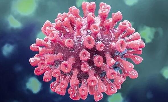 新冠病毒會攻擊中樞神經(jīng)系統(tǒng)