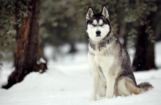 廣州外籍新冠肺炎確診患者打傷女護士