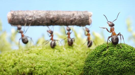 瑞典官員稱將于下月實現(xiàn)群體免疫