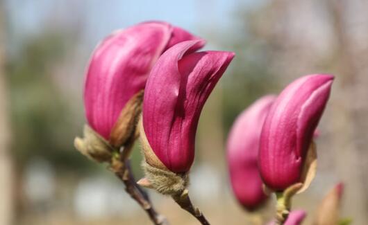 周揚(yáng)青閨蜜爆料羅志祥
