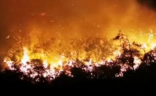 廣東汕頭南澳發(fā)生森林火災