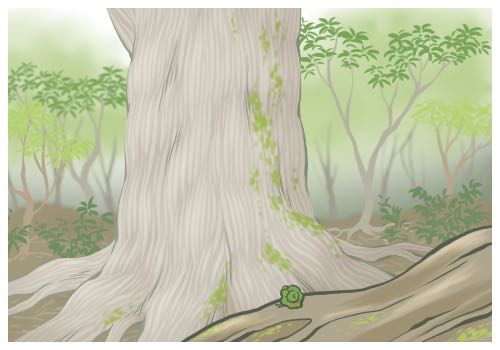 中消協(xié)回應(yīng)特斯拉事件