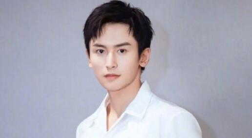 胡錫進張哲瀚在政治上有點二