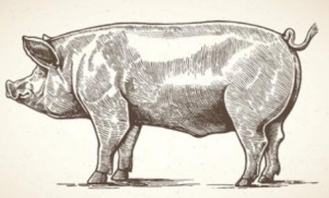 大連對(duì)種豬場(chǎng)私埋病死動(dòng)物立案調(diào)查