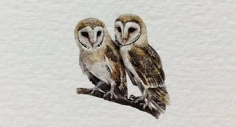 夕陽(yáng)西下打一準(zhǔn)確生肖