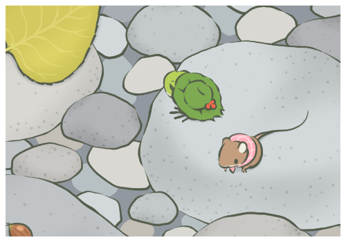 男子用小刀殘忍割斷看門(mén)貓尾巴