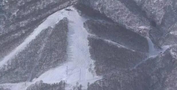 中國(guó)女子在日本滑雪被雪掩埋去世
