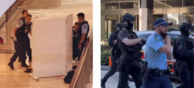 悉尼突發(fā)大規(guī)模行兇事件