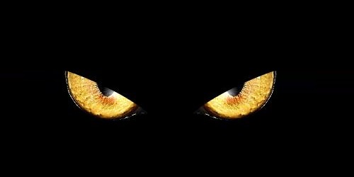 美國芯片巨頭微芯陸續(xù)遭受網(wǎng)絡(luò)攻擊