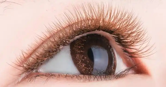 國(guó)產(chǎn)假睫毛成老外剛需