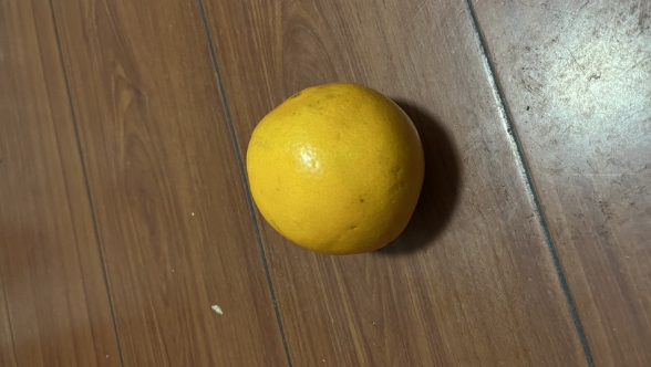原來丑橘并不是橘子