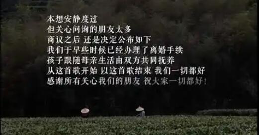 李亞鵬與海哈金喜離婚